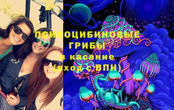 МДПВ Абаза