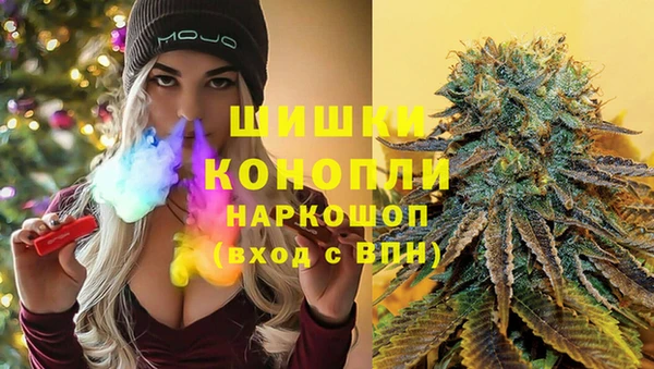 МДПВ Абаза