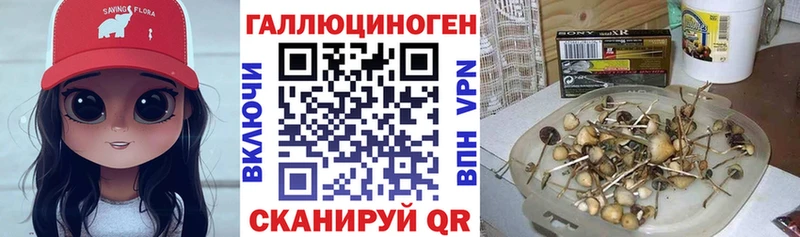 Галлюциногенные грибы Cubensis  Норильск 